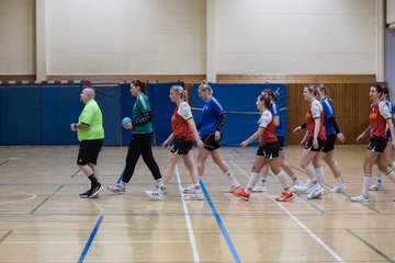 Bild 9 - F TSV Ellerau - HSG Tills Loewen 08 : Ergebnis: 16:18